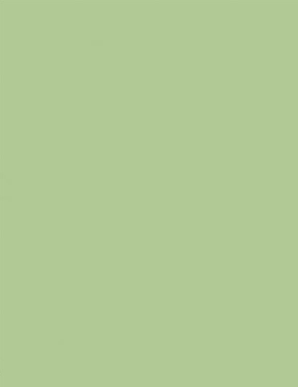 Tecido Tricoline Coleção Composê Ideal New Smoke Green - Liso - 100% Algodão - Largura 1,50m