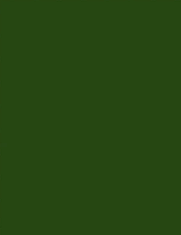 Tecido Tricoline Coleção Composê Ideal New Verde Amazônia - Liso - 100% Algodão - Largura 1,50m