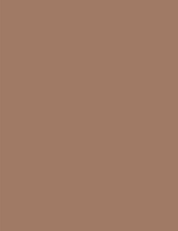 Tecido Tricoline Coleção Composê Ideal Café Com Leite - Liso - 100% Algodão - Largura 1,50m