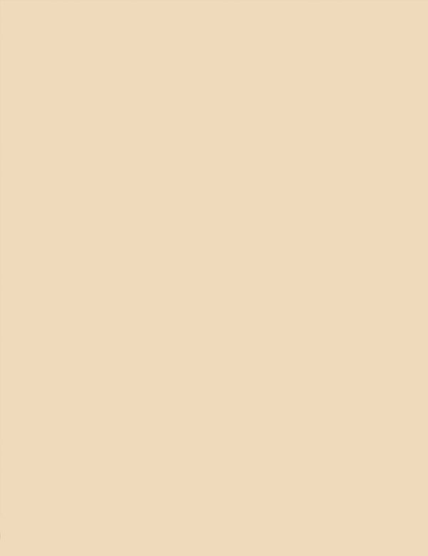 Tecido Tricoline Coleção Composê Ideal Creme - Liso - 100% Algodão - Largura 1,50m